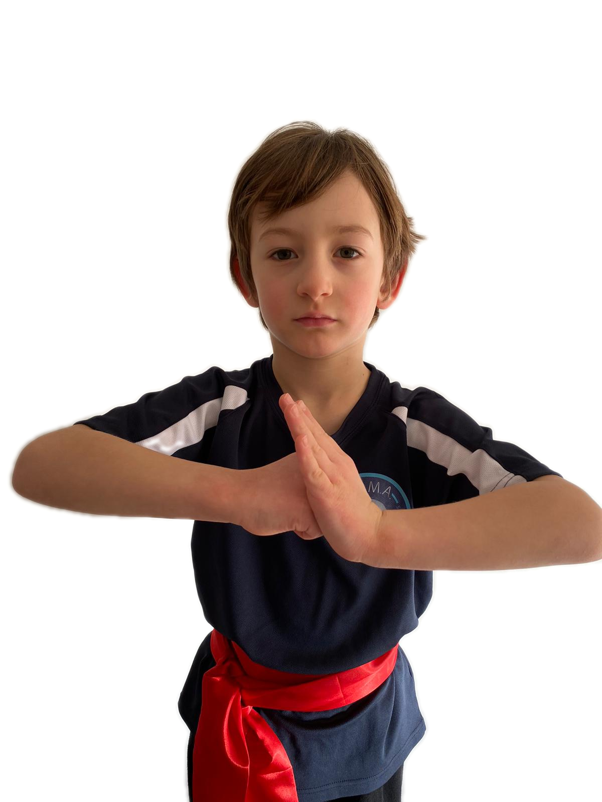 Dragons 4 - 8yrs Free 2 week trial - Read more about the classes below