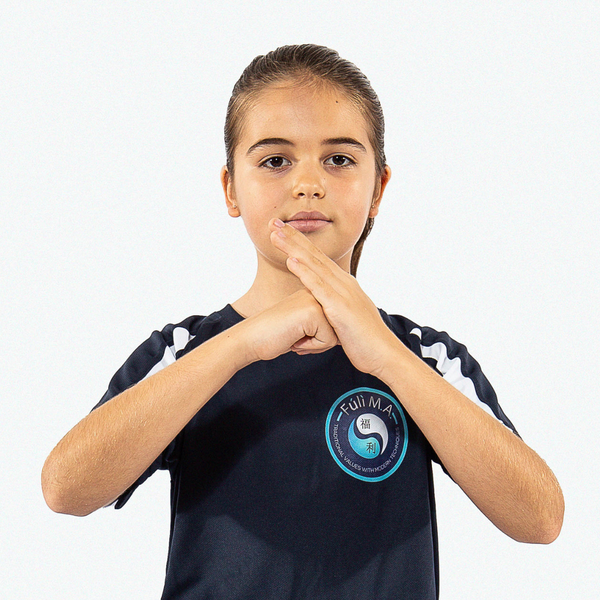 Phoenix  8 - 11 yrs, free 2 week Wing Chun Martial Arts trial