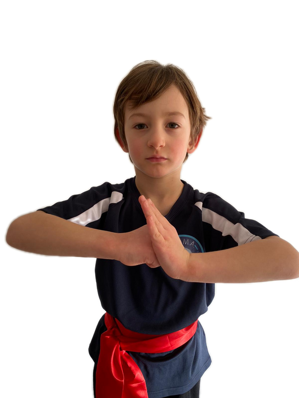 Dragons 4 - 8yrs Free 2 week trial - Read more about the classes below